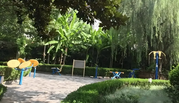 美人再上