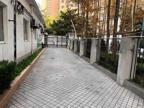凤皇